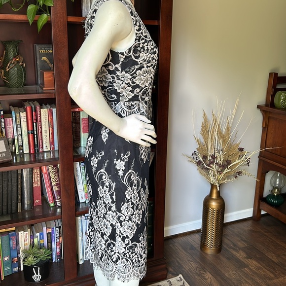 Erin Featherson Lace V Neck Cocktail Dress - Picture 5 of 15